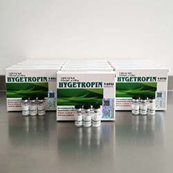 Hygetropin 100iu